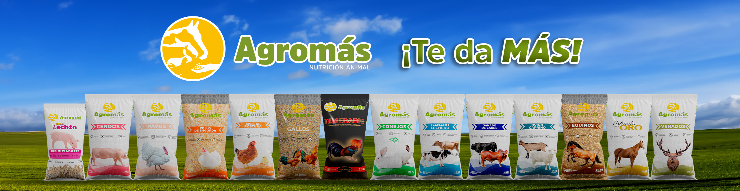  Agromas Carrusel Principal escritorio