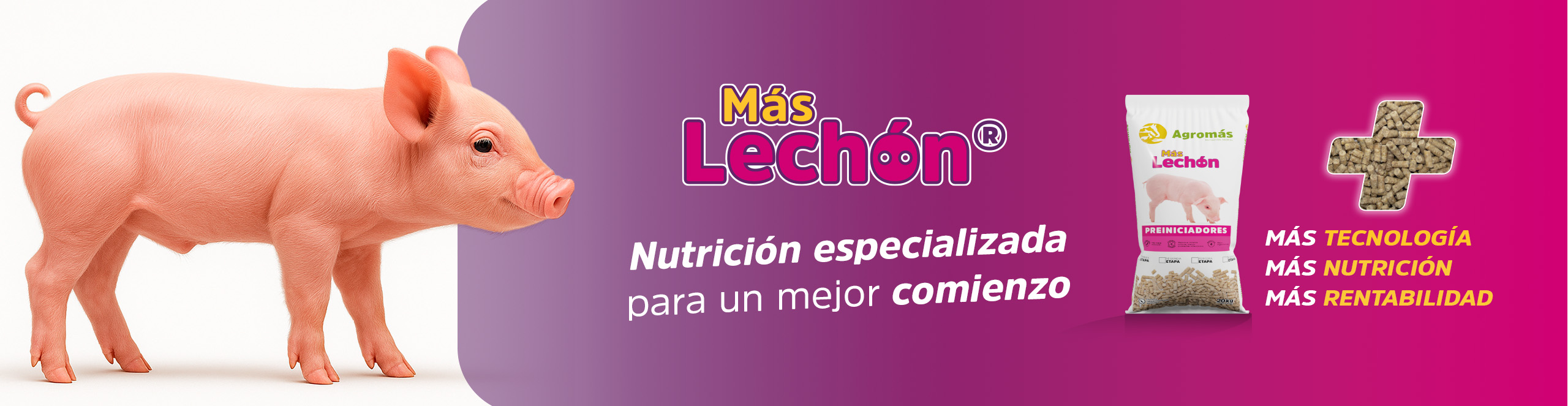  Agromas Carrusel MÁS LECHÓN escritorio